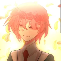 TT hiha