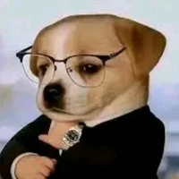 T/g 🐕
