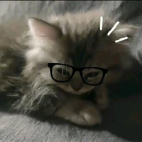 Bảo