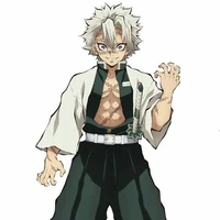 Shinazugawa Sanemi