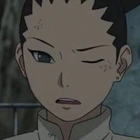 shikadai