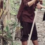 Đậu