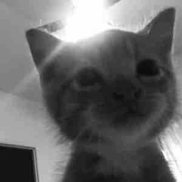 Tgia ngầu , đeptrai nhất tgioi