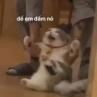 tg của bộ oneshot này