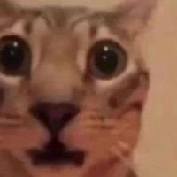 :0