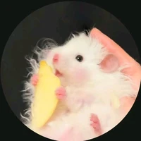 N.Hyy(tg)