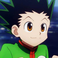 Gon Freecss