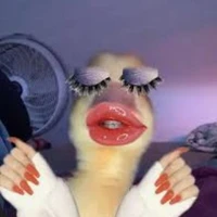 T/G  vui vẻ