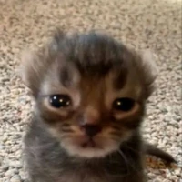Bí ẩn 😞😞