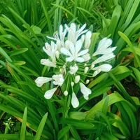 người lạ
