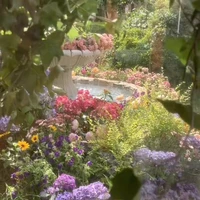 All trừ một trường hợp