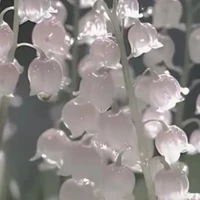 nhân vật chưa đc tiết lộ