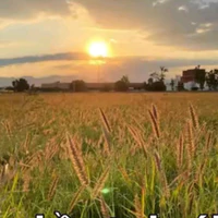all