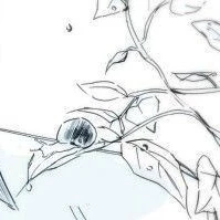 All(-những người cần trừ)