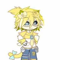 Hiha anticatnap