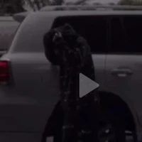 đỗ gia-đỗ lý hiếu