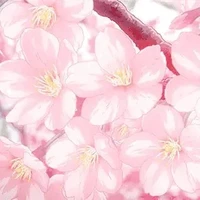 Lily(em t/g)