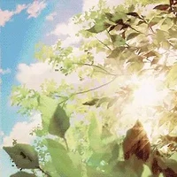 cân các nv có nghề