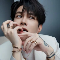 Bùi Anh Tú