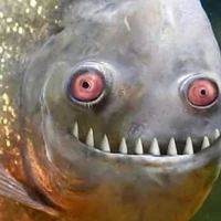 Chấp tất cả mọi nv