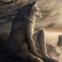 nhóm bn yochi+yochi(ko ai thì thôi)