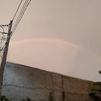 teuii t/g