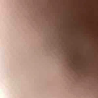 Bot