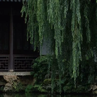 alll những người có mặt