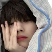 Hạ Bạch Dương - 21t