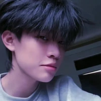 Tô Bảo