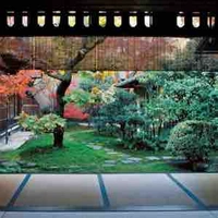 Hai chị em nhà Miruno