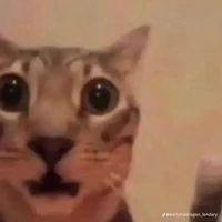 ---