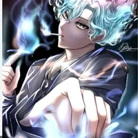 hiha des