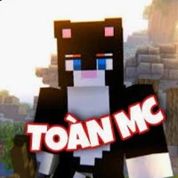 toàn