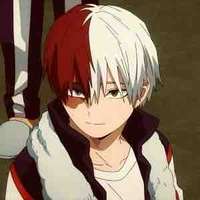 Shoto Todoroki