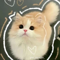 Hệ Thống_Bun_