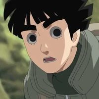 Rook Lee