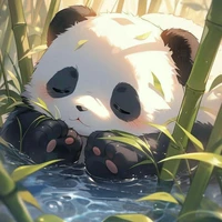 Gấu trúc