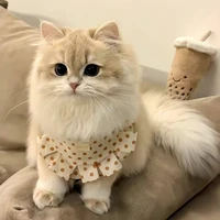 rinwii (hệ thống toàn năng)