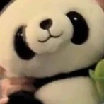 all(cả 2 hoặc 3)