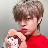 Nguyễn Quang Anh|RhyDer