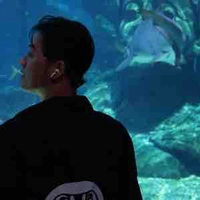 Phạm Trần Thanh Duy