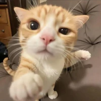 Hội trưởng hội học sinh