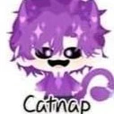 catnap