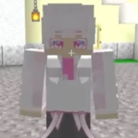 hiha hologram