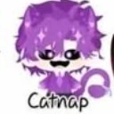 hiha capnap