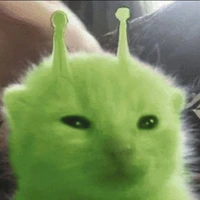 t/g cute