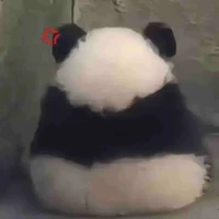 bông nìii 🫶🏻