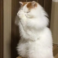 Tg chứ ai nữa má