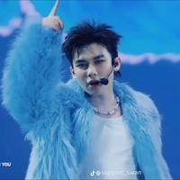 _n.swan_